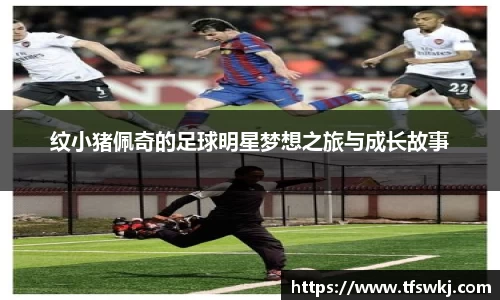 OD体育官方网站